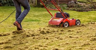 Faire un paillage avec la tonte de pelouse Faire un paillage avec la tonte de pelouse