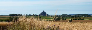 Au prieuré du Mont Saint-Michel les pionniers mènent un camp écolo de A à Z