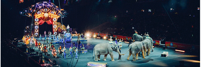 Mexique : les animaux sauvages au cirque, c’est terminé