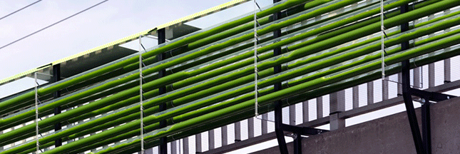 Biofaçades : des murs en micro-algues pour nettoyer les villes demain