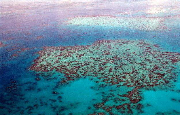grande-barrière-corail-australie