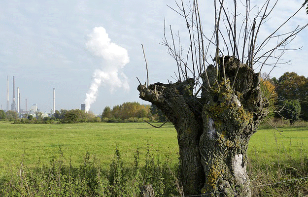 pollution-air-environnement-agriculture