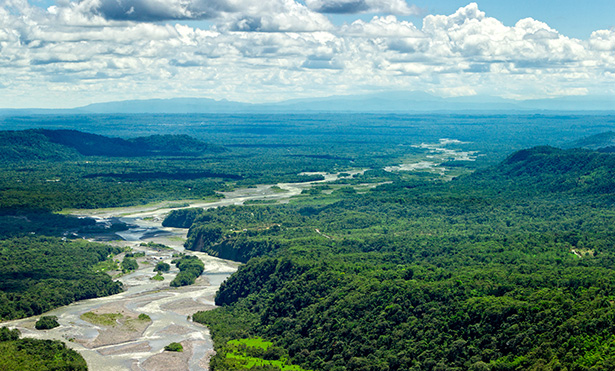 amazonie déforestation charbon de bois sol