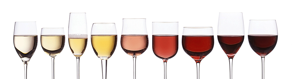20 sur vins : vins et élixirs de santé