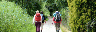 Les sorties vertes du mois d'août