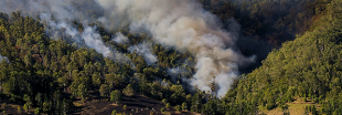 Peut-on vivre une année sans feux de forêt en Europe ?