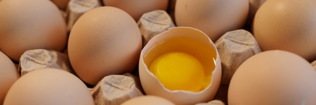 manger des oeufs bon pour la santé