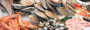 Manger du poisson en été : 10 espèces qui ne sont pas menacées