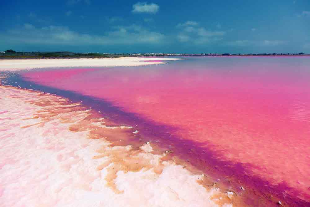 Autre lac rose, celui de la Laguna Salada de Torrevieja en Espagne