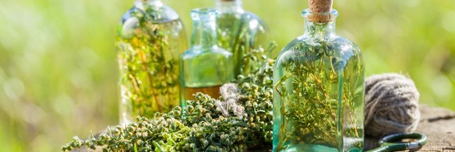 vin infusion santé plantes estragon origan mauve