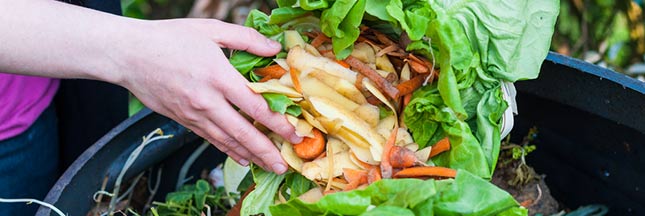 Arrangez les épluchures pour faire revivre les déchets alimentaires