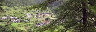 Le Bhoutan bientôt le pays le plus bio du monde ?