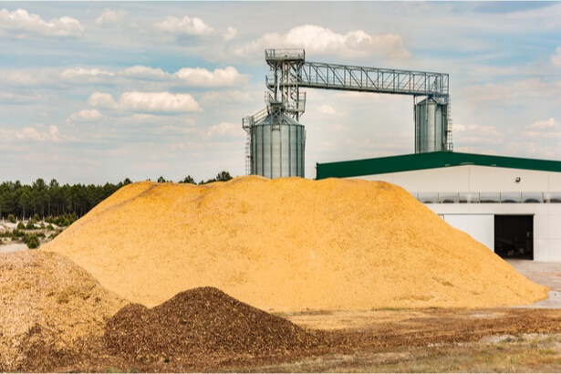 granulés de bois