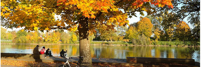 Les sorties vertes du mois d’octobre