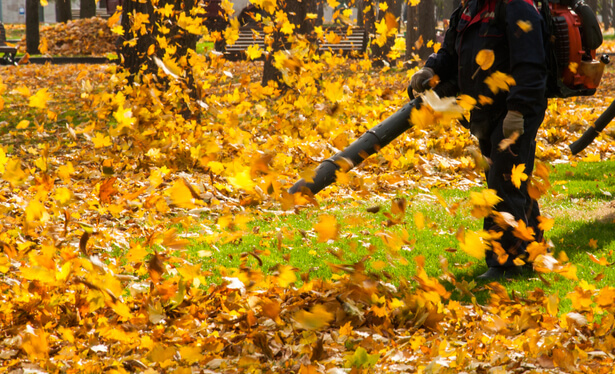 souffleur de feuilles