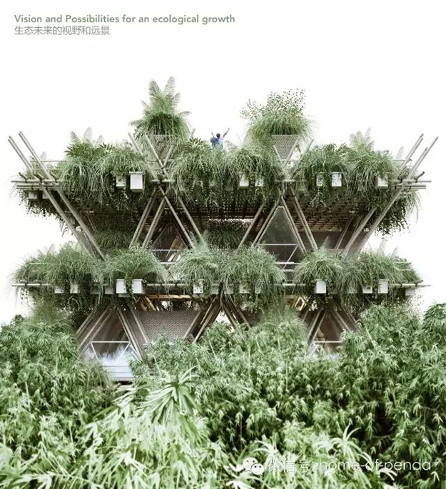 ville en bambou construction durable écoconstruction