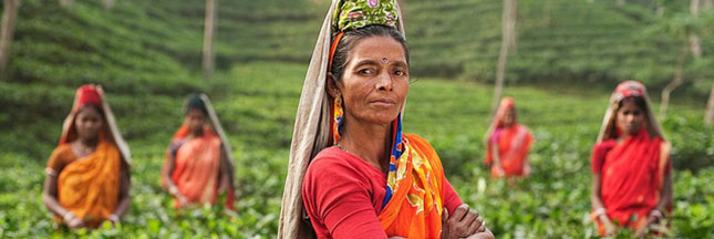 Les femmes sont les premières victimes du changement climatique