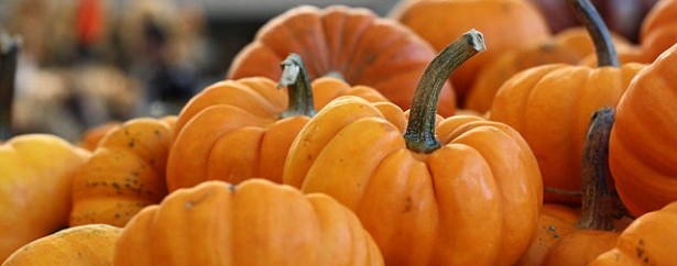 légumes de saison novembre