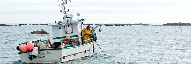 ‘On peut manger du poisson durable sans nuire aux stocks’