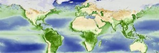 Respiration de la Terre : nouvelle vidéo spectaculaire de la NASA