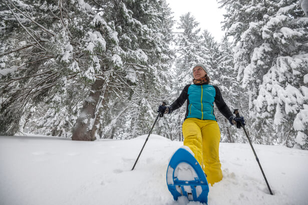 idée de sortie l'hiver dans la nature, activités nature hiver