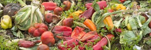 Phenix : le site de rencontre anti-gaspillage alimentaire