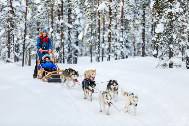 idée de sortie l'hiver dans la nature, activités nature hiver