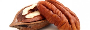 La noix de pécan, riche en gourmandise et en antioxydants La noix de pécan, riche en gourmandise et en antioxydants