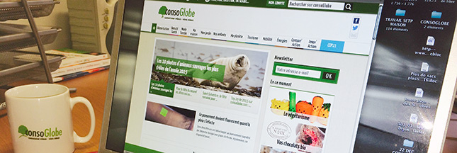 consoGlobe.com recrute : rédacteur, commercial, affaires financières