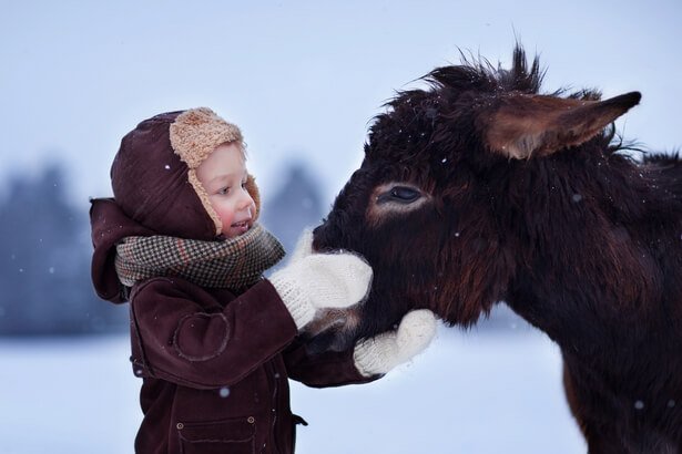 activités nature hiver