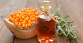 Sirop d’argousier, vin des quatre voleurs : en forme tout l’hiver ! Sirop d’argousier, vin des quatre voleurs : en forme tout l’hiver !