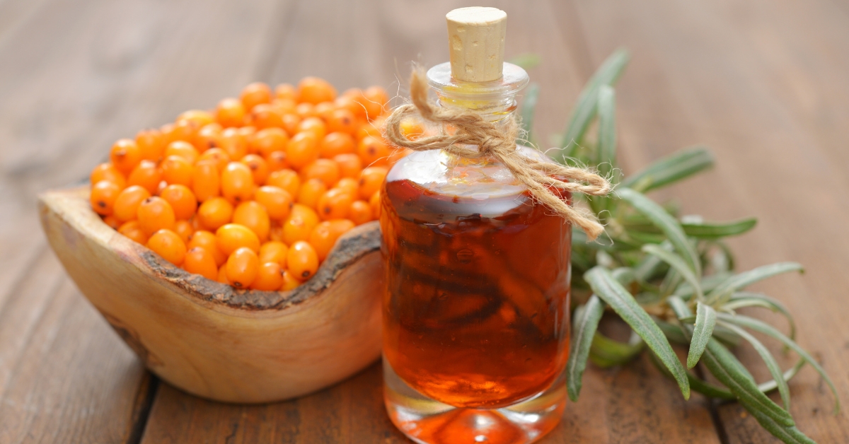 Sirop d'argousier, vin des quatre voleurs : en forme tout l'hiver ! Sirop d'argousier, vin des quatre voleurs : en forme tout l'hiver !