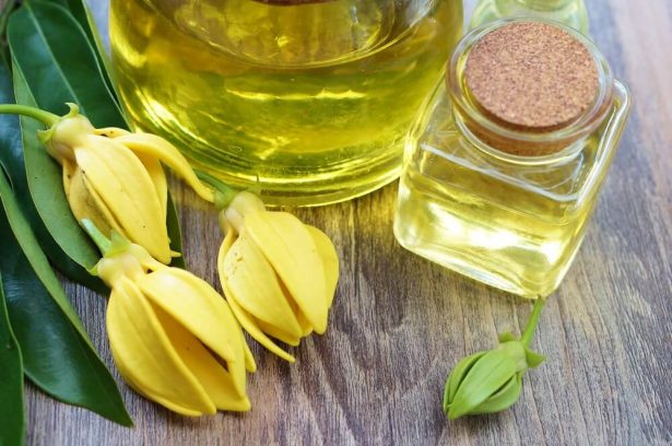 ylang ylang huile essentielle peau sèche