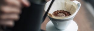 Marc de café : 11 astuces économiques et écolo pour la maison et le jardin