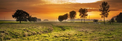 L’agroécologie s’arme pour conquérir l’Europe