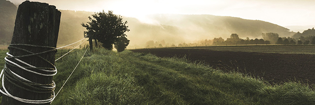 Biodynamique, raisonnée… Le point sur les différentes formes d’agriculture