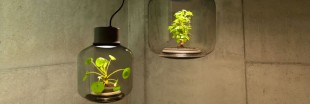 Mygdal PlantLight : des lampes qui font pousser des plantes sans eau et sans lumière naturelle Mygdal PlantLight : des lampes qui font pousser des plantes sans eau et sans lumière naturelle