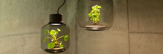 Mygdal PlantLight : des lampes qui font pousser des plantes sans eau et sans lumière naturelle