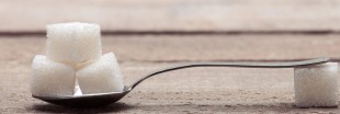 Tout savoir sur le sucre