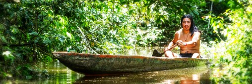 Une tribu amazonienne crée une encyclopédie de médecine traditionnelle