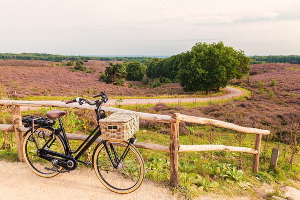 quel velo electrique choisir, choisir vélo électrique