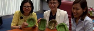 En Thaïlande, on fait des assiettes biodégradables avec des feuilles