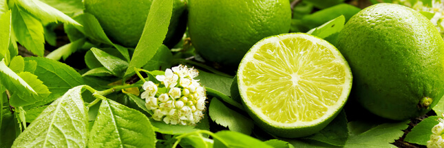 huile essentielle de citron vert