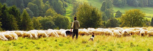 Luttes paysannes : la mobilisation continue