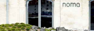 Le Noma : le meilleur restaurant du monde devient végétarien une partie de l'année Le Noma : le meilleur restaurant du monde devient végétarien une partie de l'année