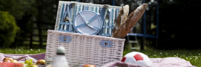 pique-nique