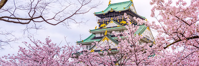 ‘Ohanami’ ou comment le Japon célèbre la floraison des sakura