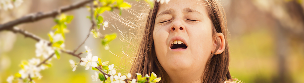 Lutter contre les allergies