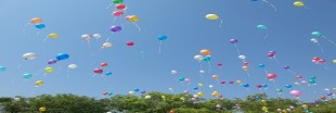 Lâchers de ballons, un véritable danger pour l'environnement et la biodiversité Lâchers de ballons, un véritable danger pour l'environnement et la biodiversité