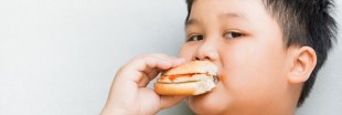 La junk-food rendrait les enfants moins intelligents